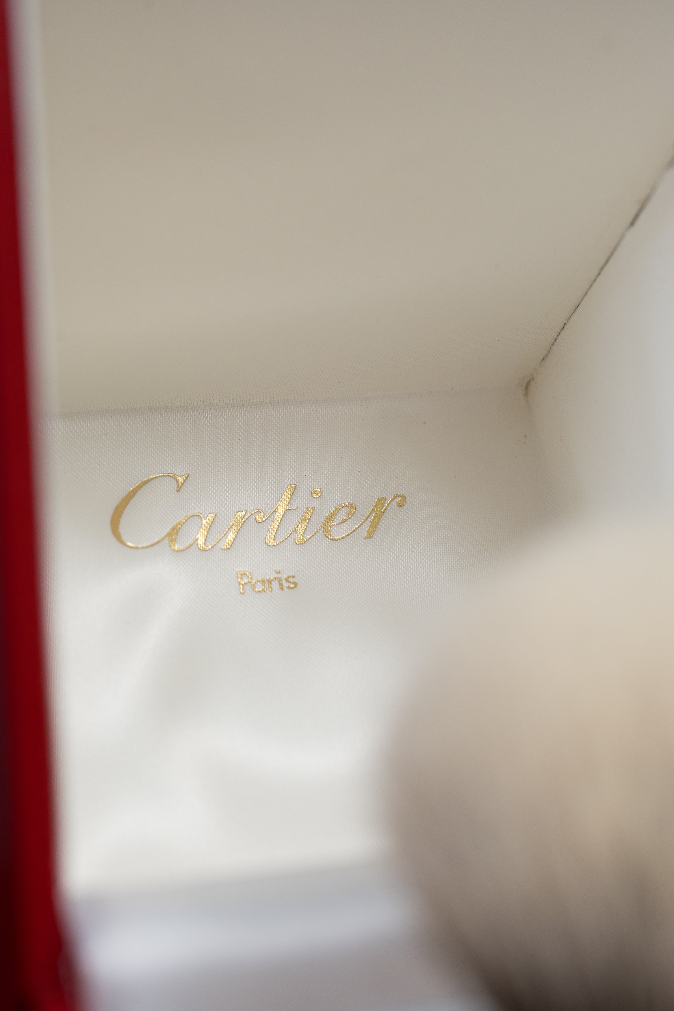 Pasha De Cartier brush | от 1000$