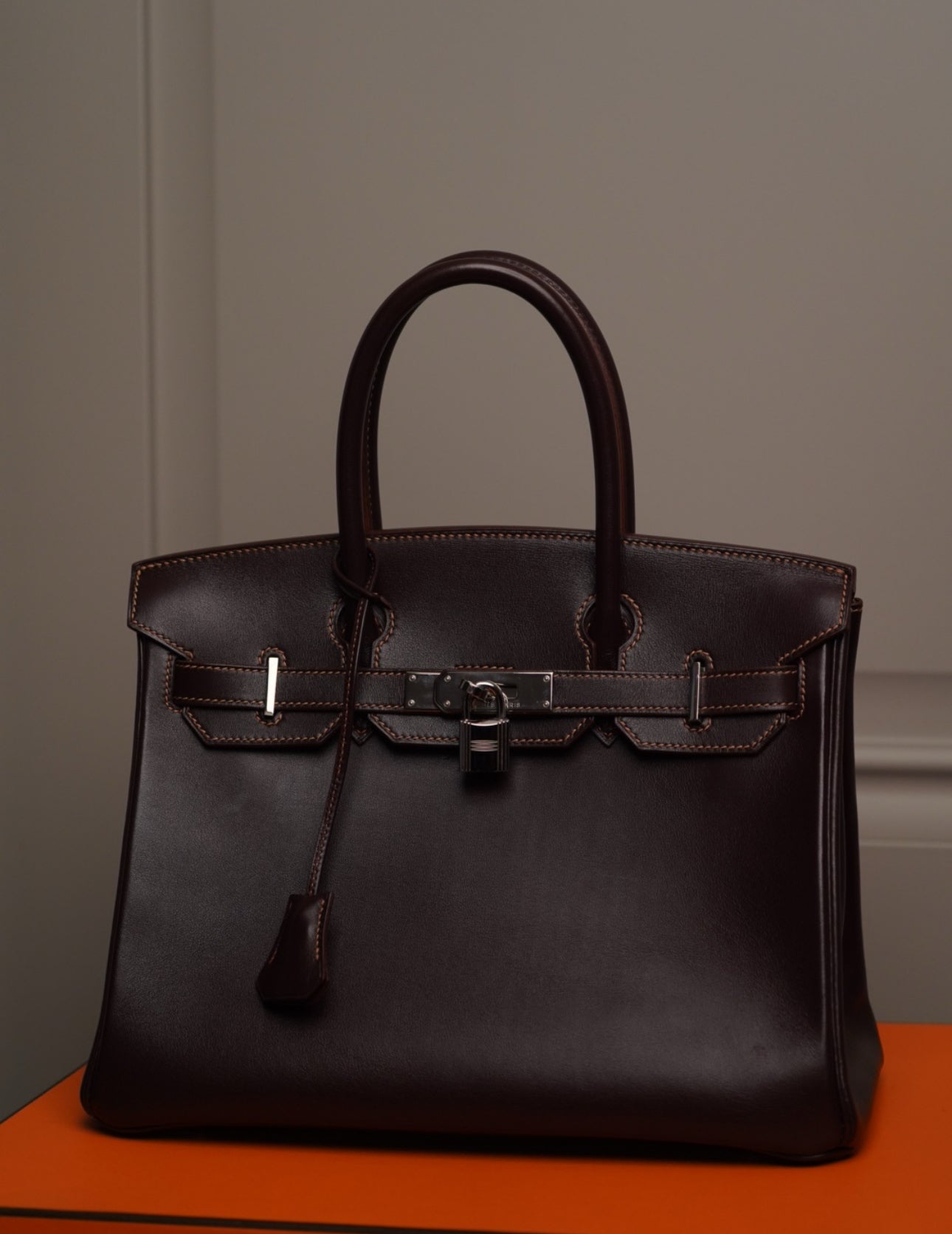 Hermès Birkin 25 | от 16000$